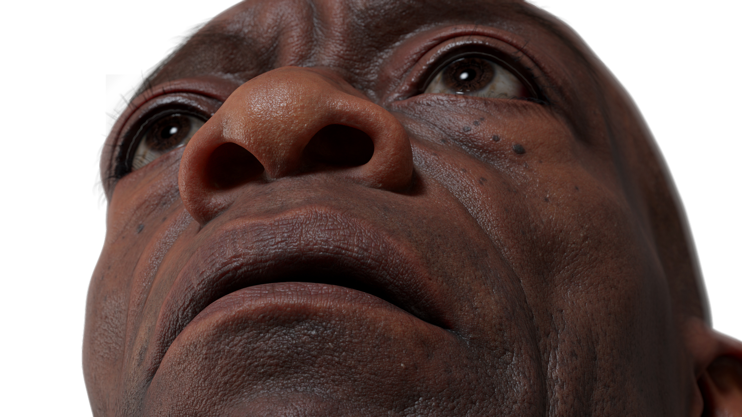 download skin pored zbrush displacement map